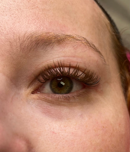 Lash Extentions